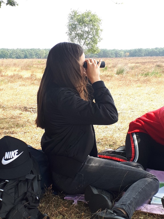 Heb ik een wolf gespot? Heb ik een wolf gespot?