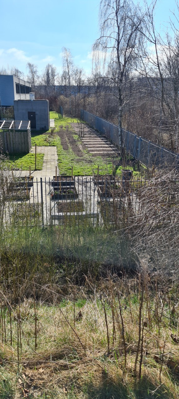 Moestuinen voor brugklassen Moestuinen voor brugklassen